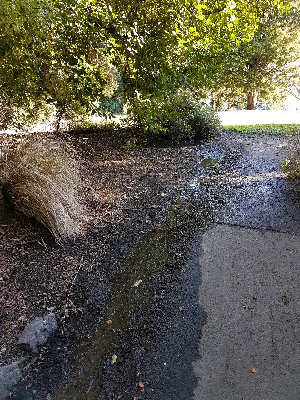 The photograph attached to this water supply report