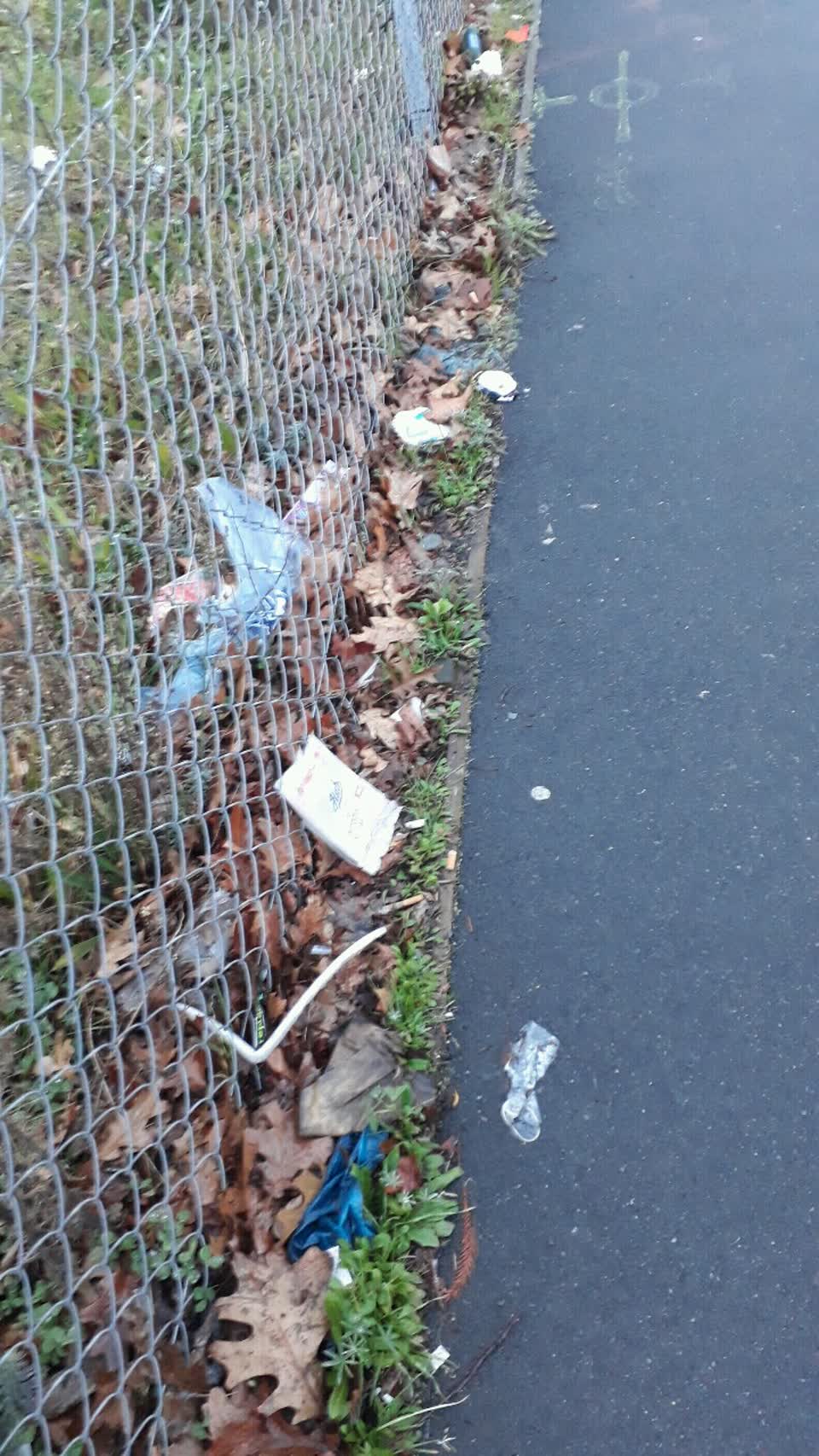 The photograph attached to this rubbish/recycling report