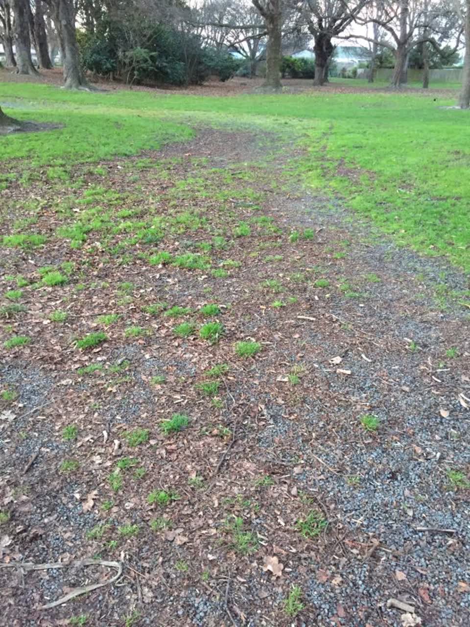 The photograph attached to this parks report