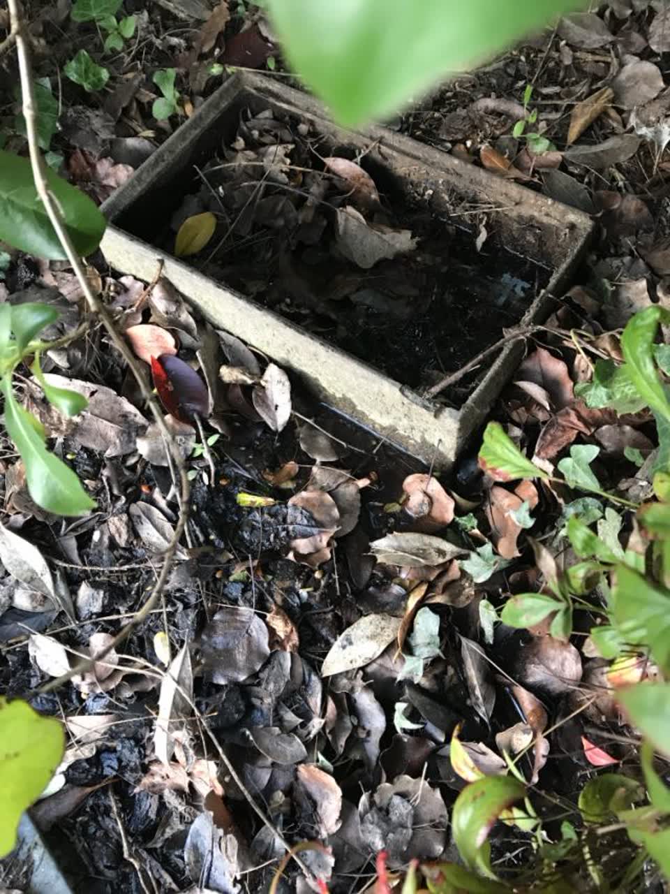 The photograph attached to this wastewater/stormwater report