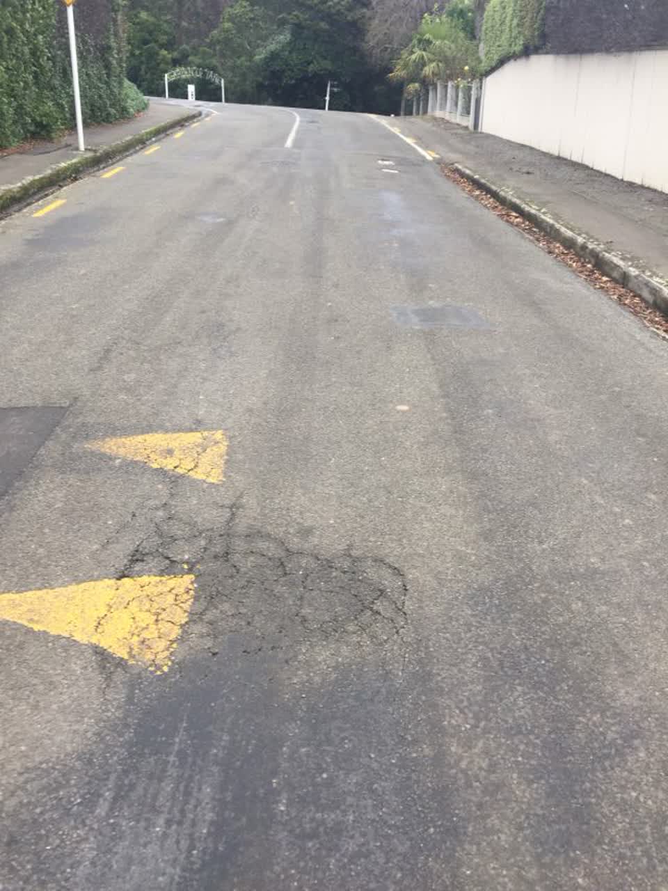The photograph attached to this roading/streets report