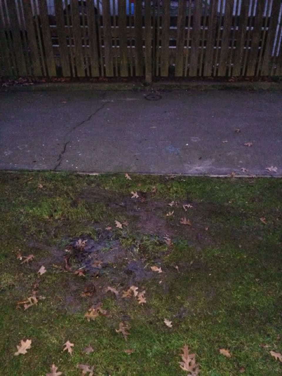 The photograph attached to this water supply report