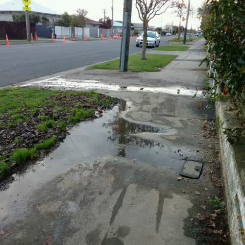Water Supply, a report photo