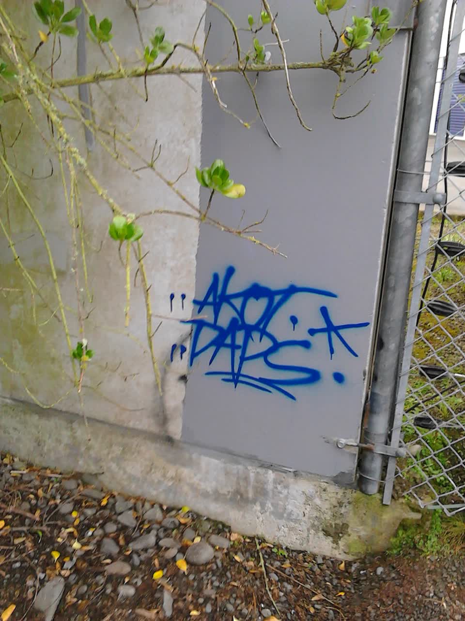 The photograph attached to this graffiti report