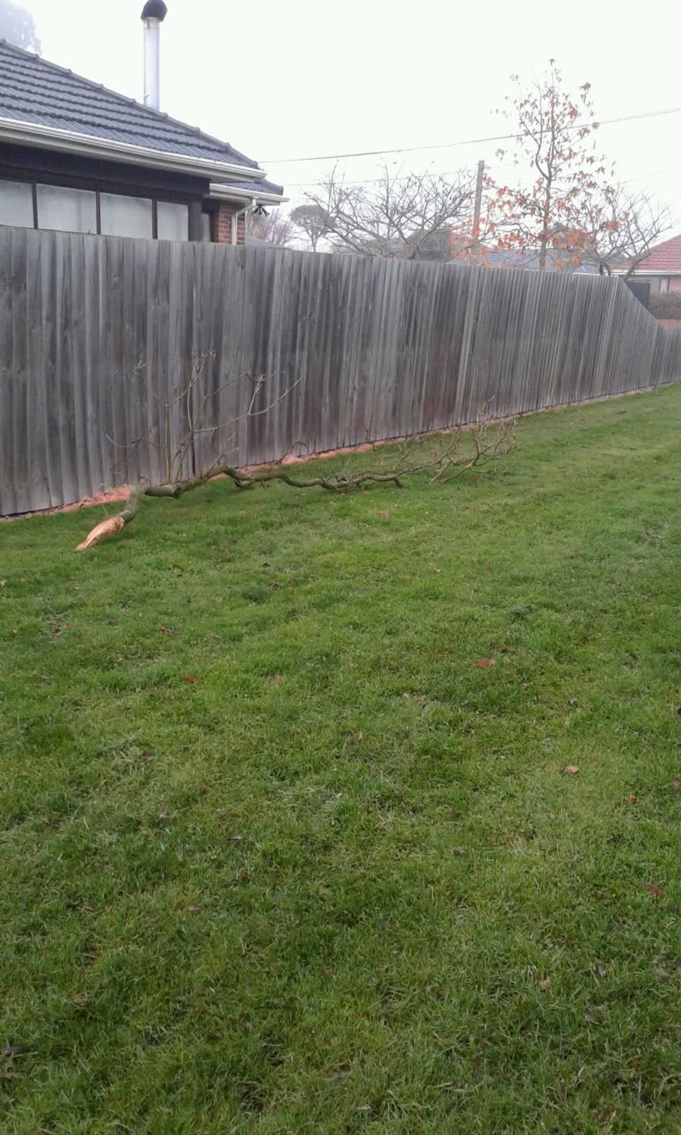 The photograph attached to this parks report