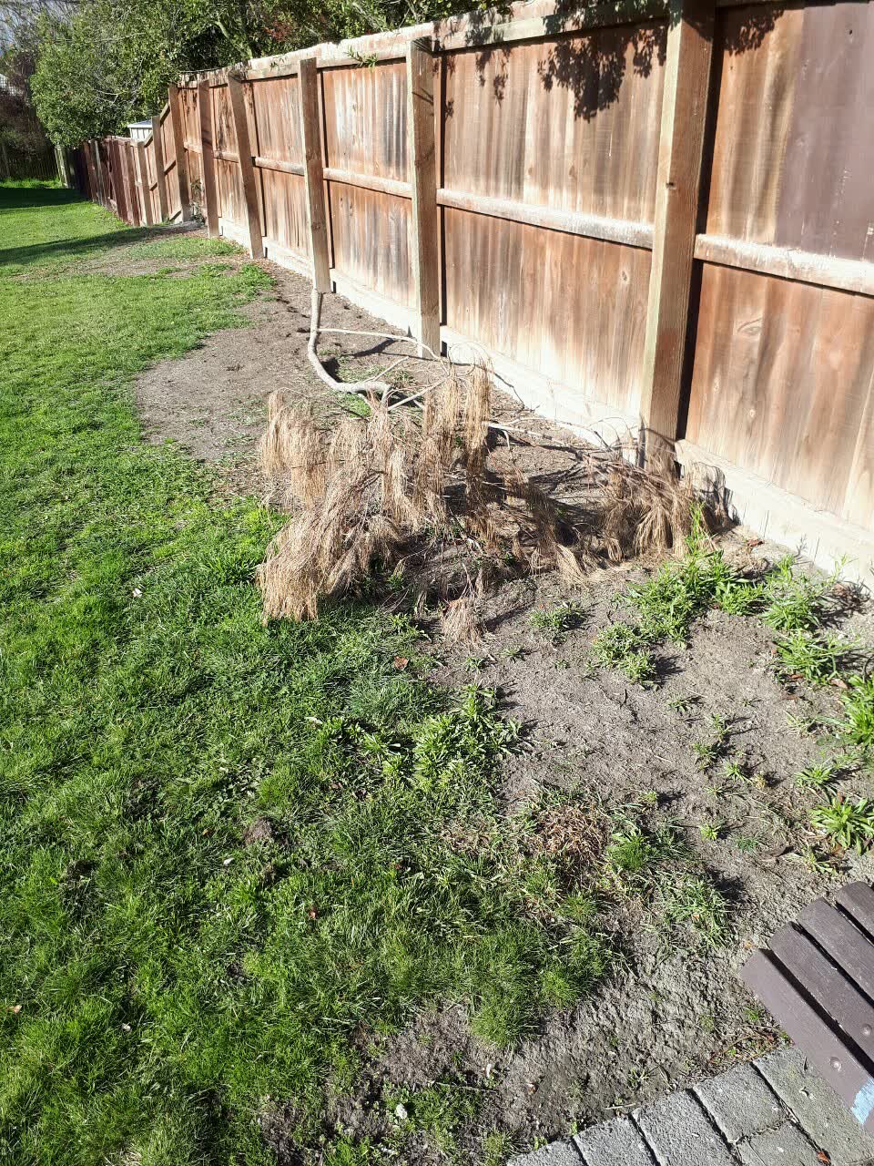 The photograph attached to this parks report