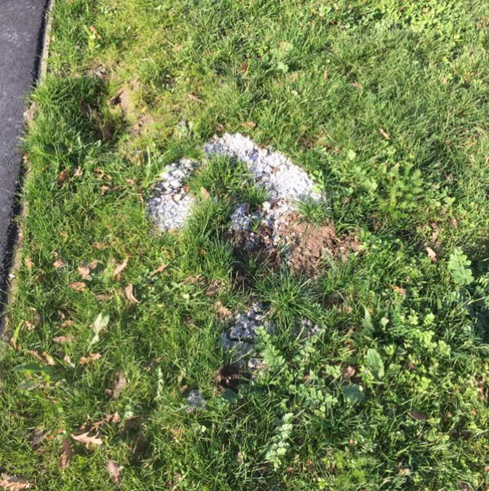 The photograph attached to this parks report