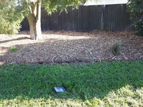 Parks, a report photo