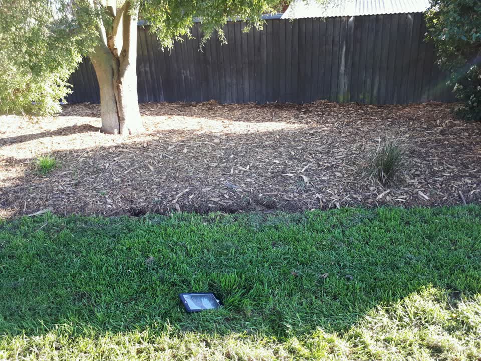 The photograph attached to this parks report