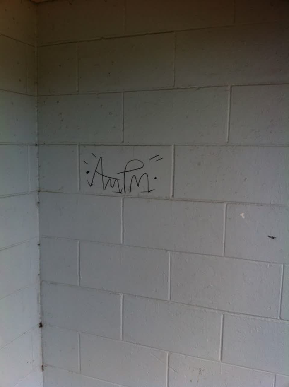 The photograph attached to this graffiti report