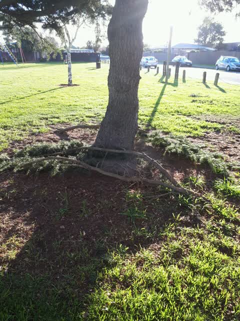 Parks, a report photo
