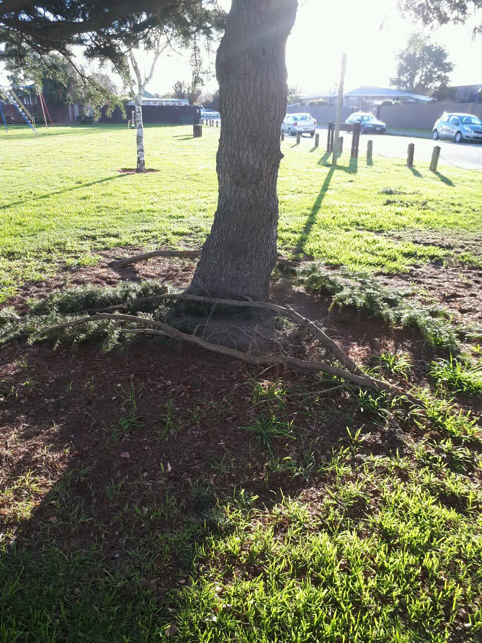 The photograph attached to this parks report