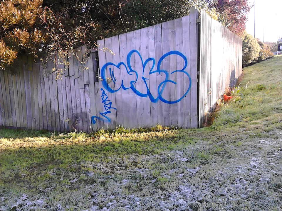 The photograph attached to this graffiti report