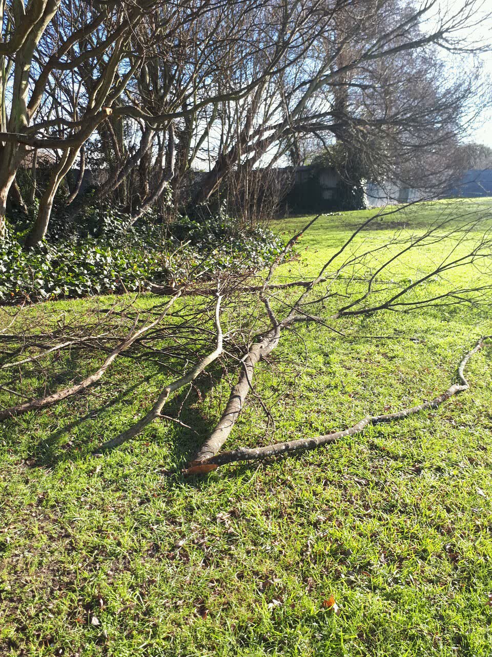 The photograph attached to this parks report