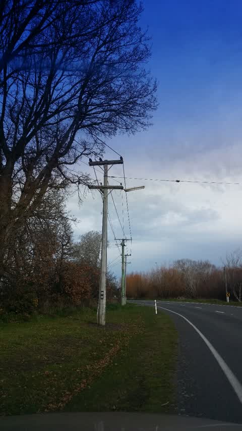 Roading/Streets, a report photo
