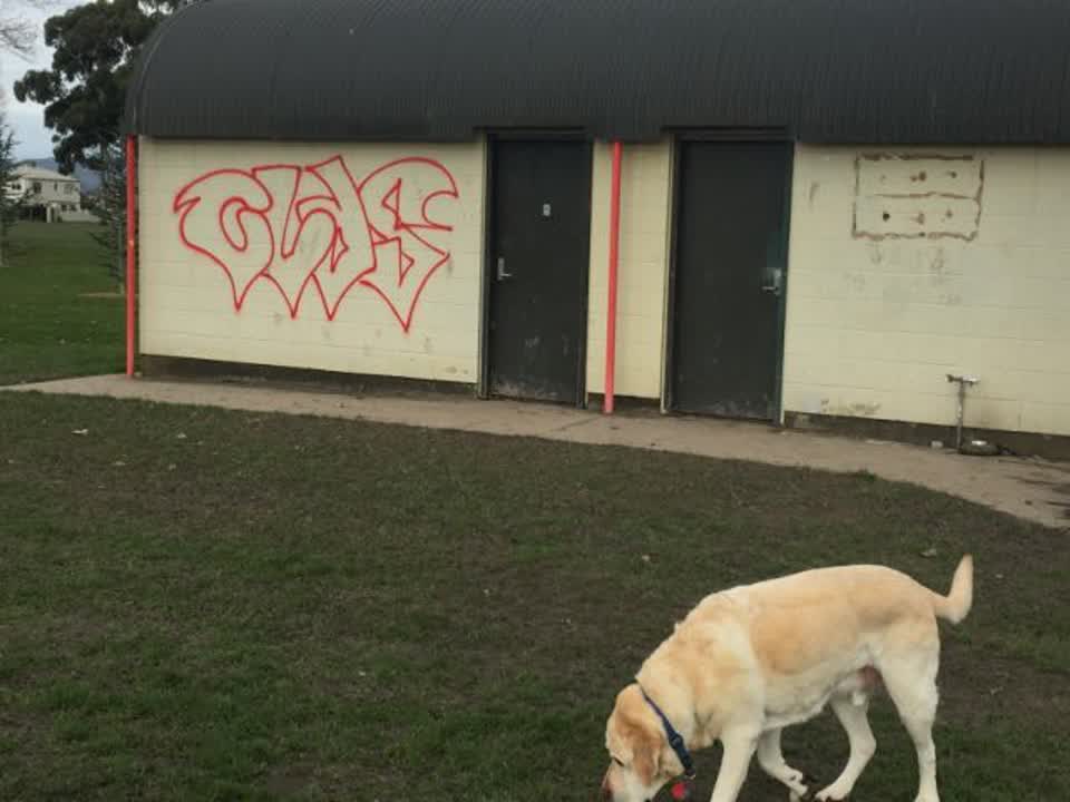 The photograph attached to this graffiti report