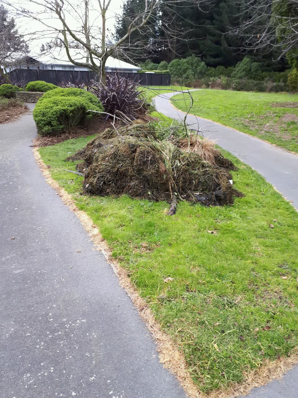 The photograph attached to this parks report