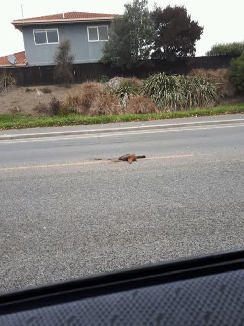Roading/Streets, a report photo