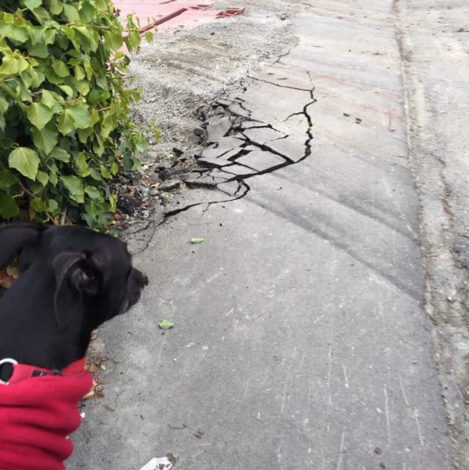 The photograph attached to this roading/streets report