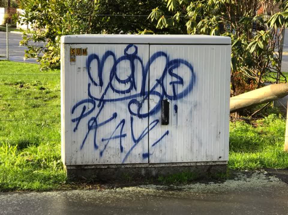 The photograph attached to this graffiti report