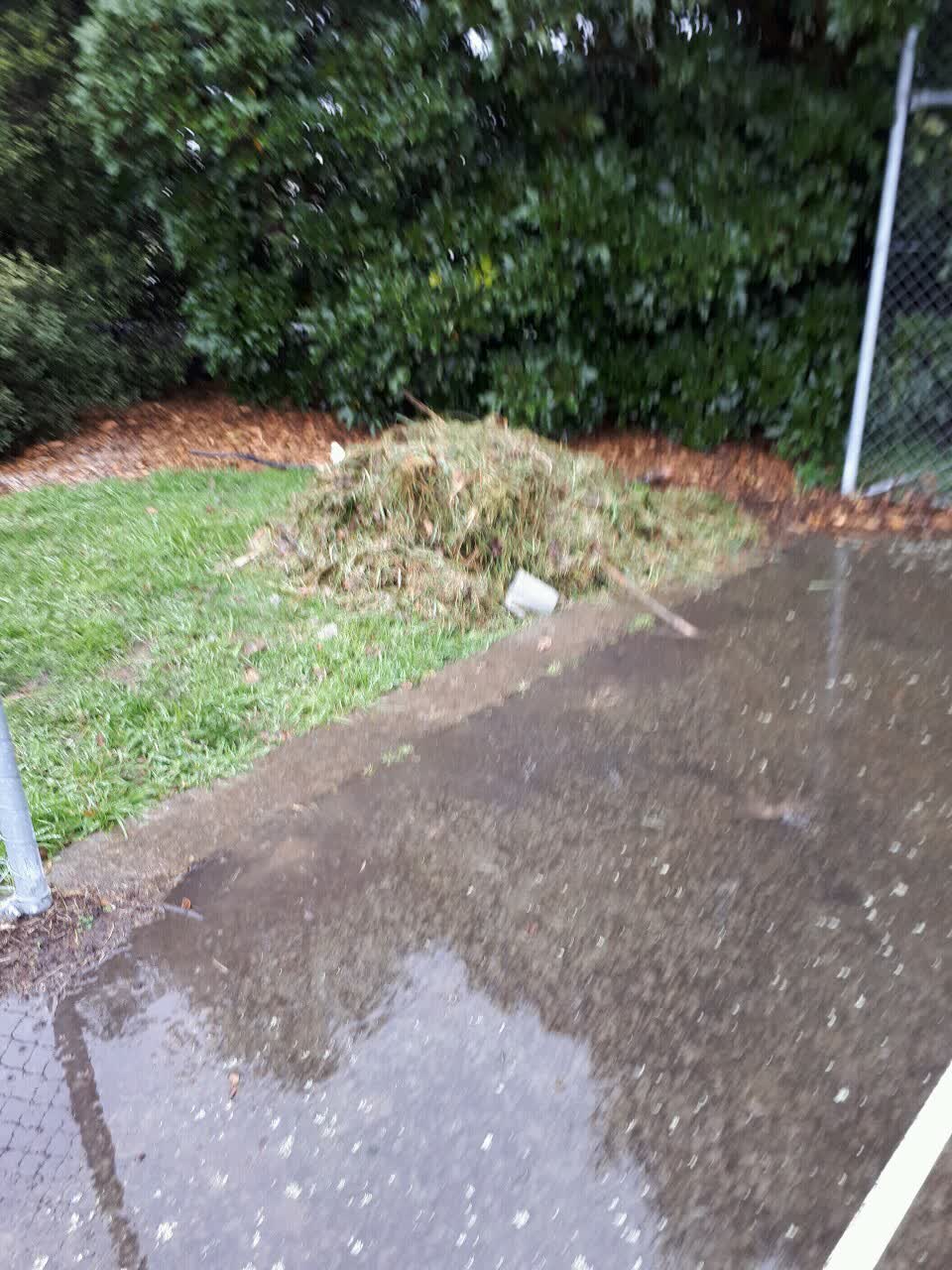 The photograph attached to this parks report