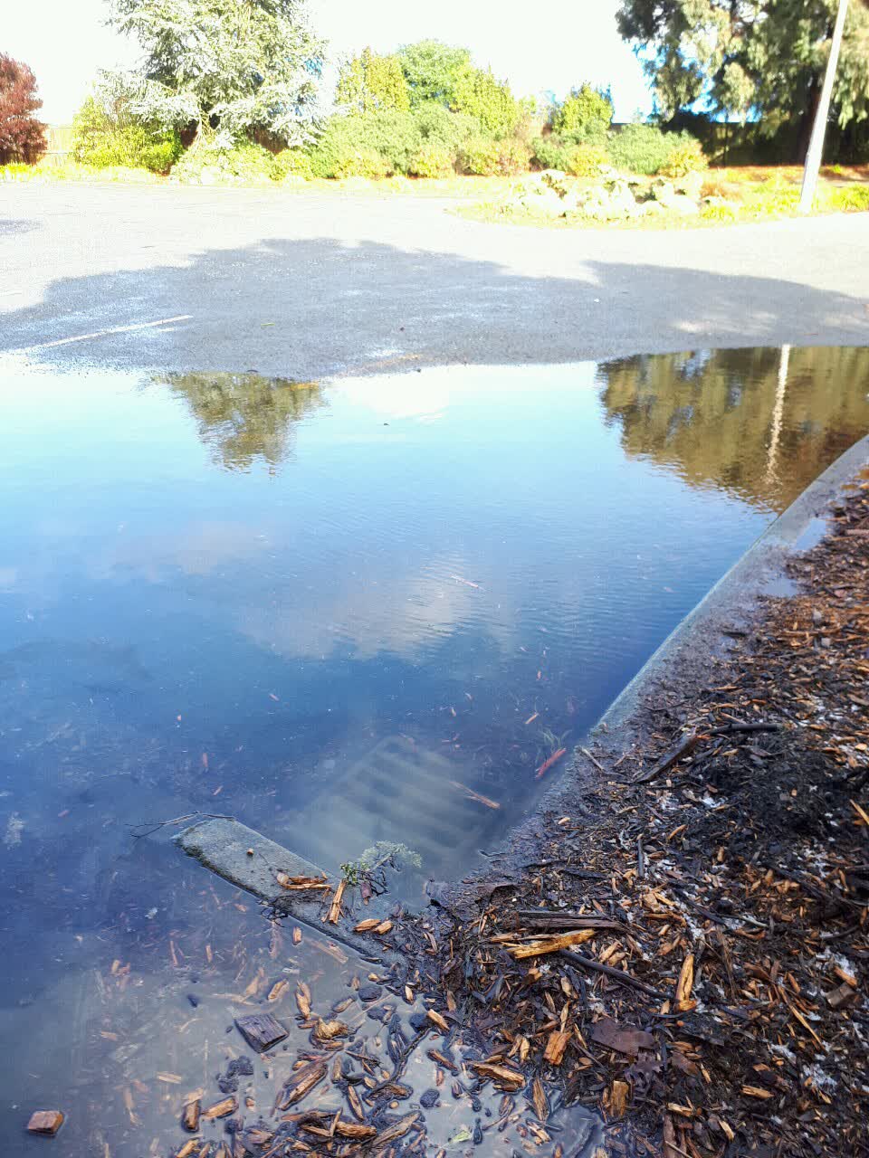 The photograph attached to this parks report