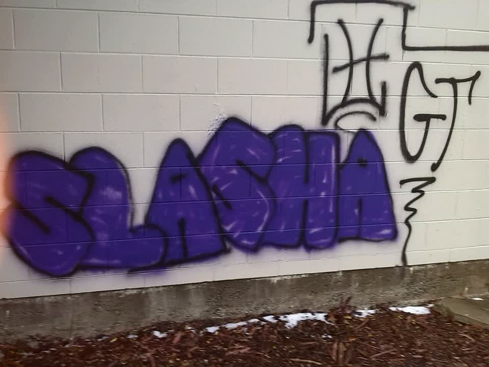 The photograph attached to this graffiti report