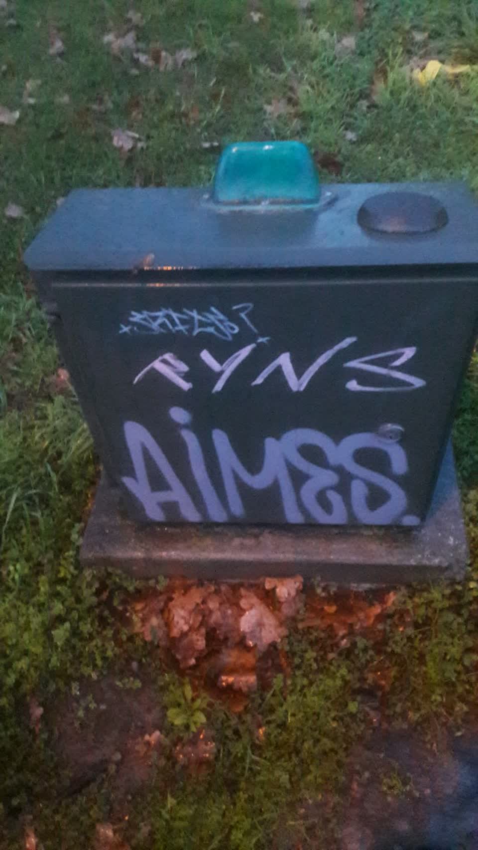The photograph attached to this graffiti report