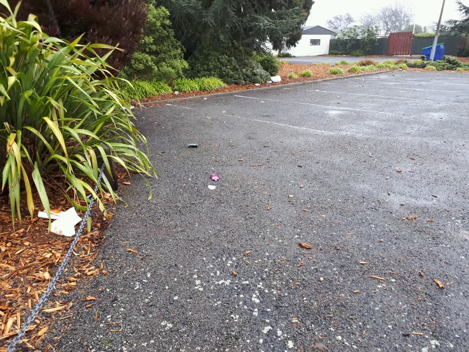 The photograph attached to this parks report