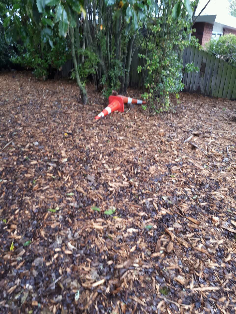The photograph attached to this parks report