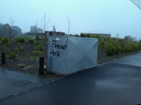 Graffiti, a report photo
