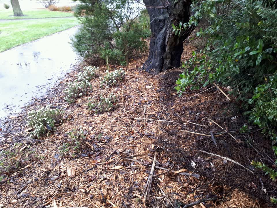 The photograph attached to this parks report