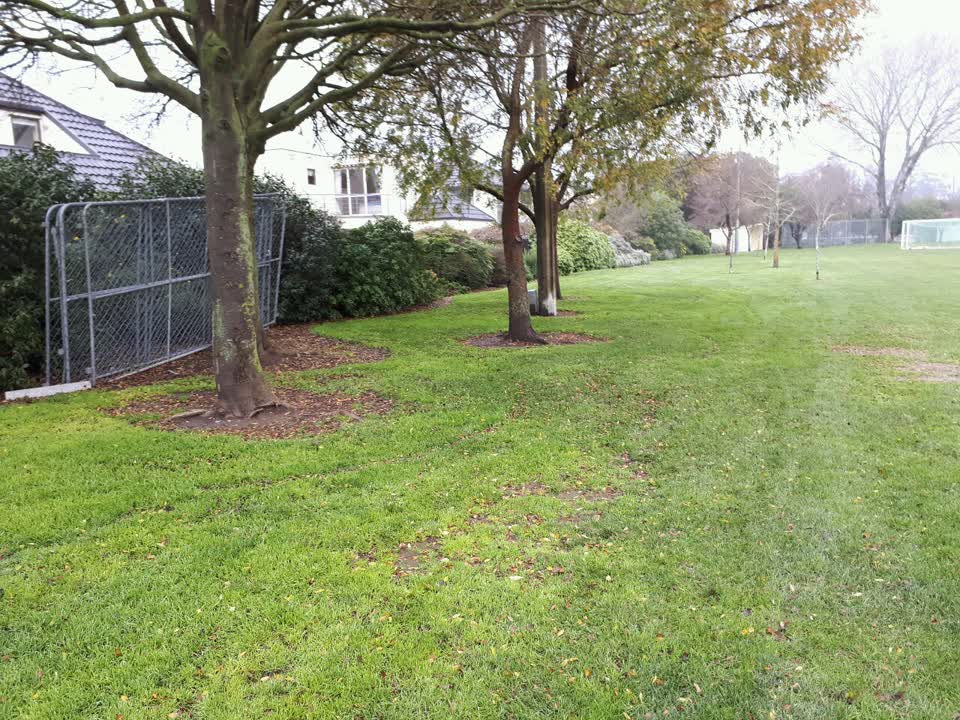 The photograph attached to this parks report