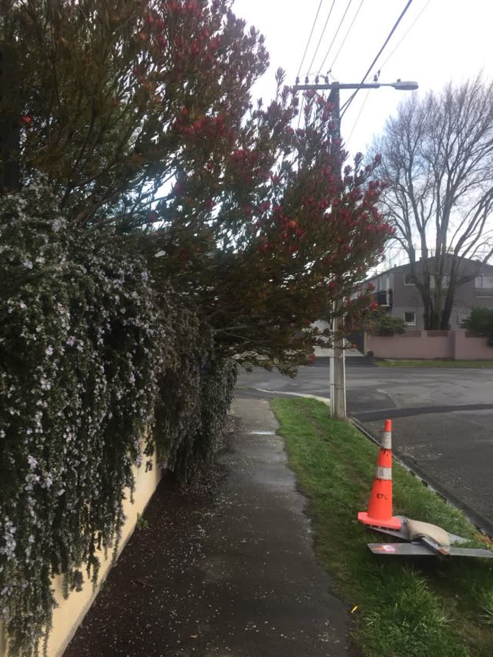 The photograph attached to this roading/streets report