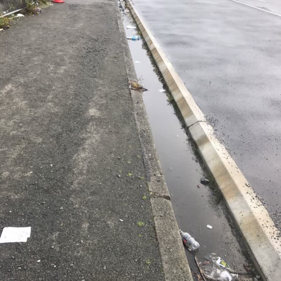 The photograph attached to this rubbish/recycling report