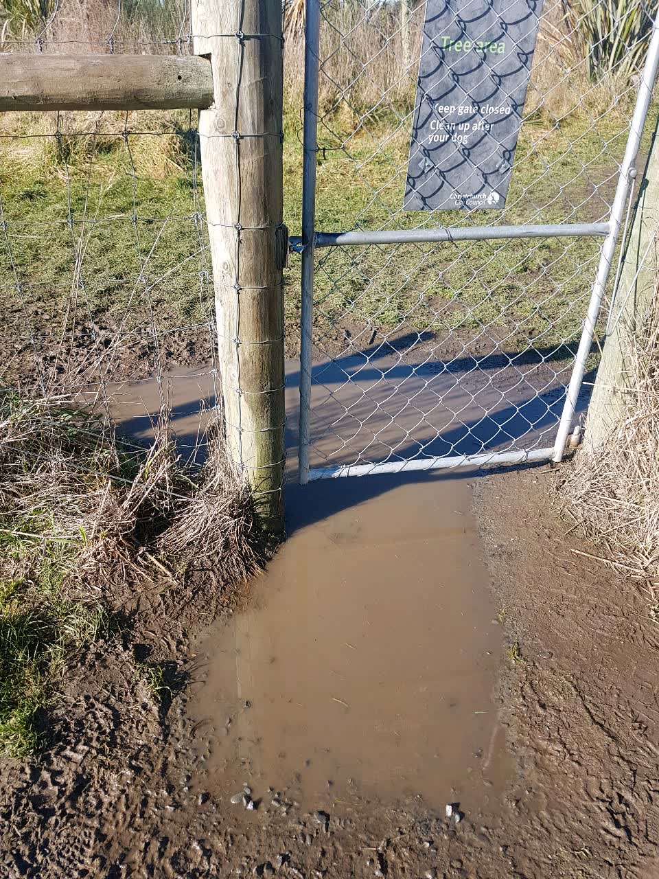 The photograph attached to this parks report
