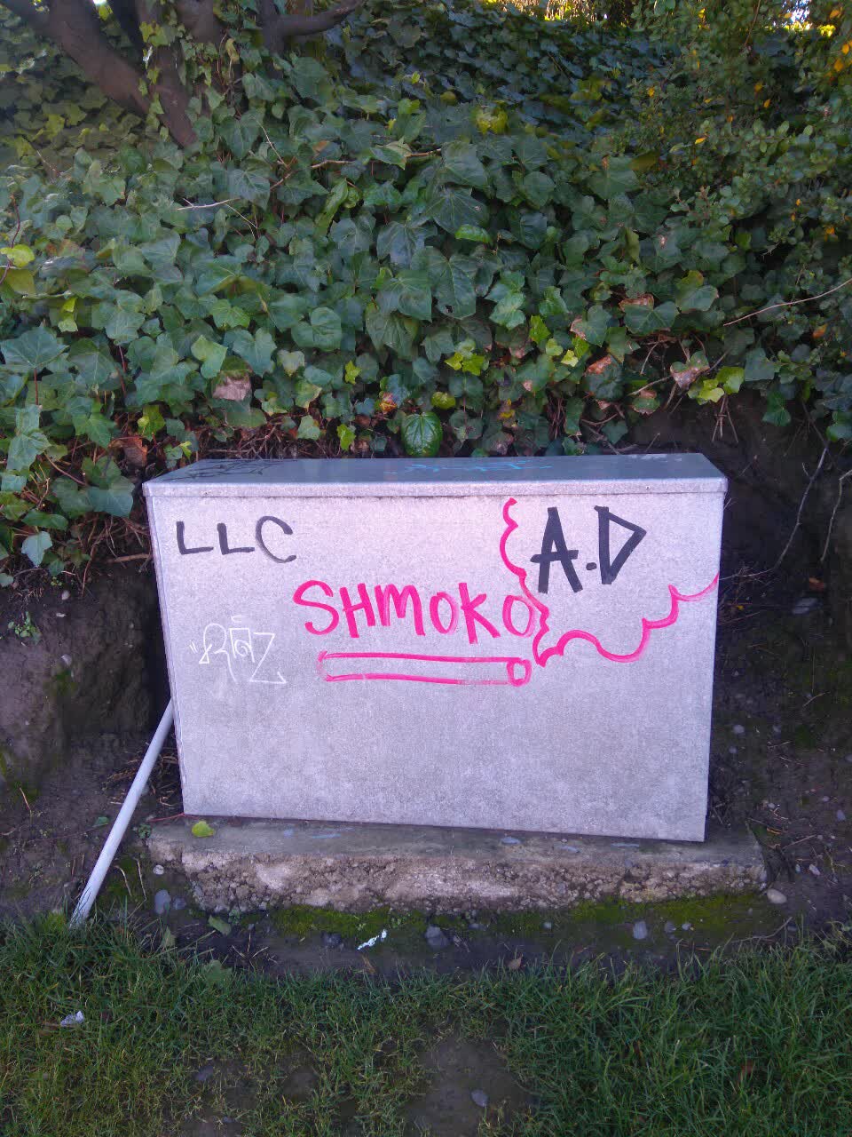The photograph attached to this graffiti report