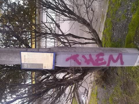 Graffiti, a report photo