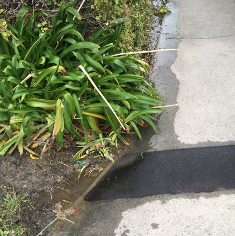 The photograph attached to this water supply report