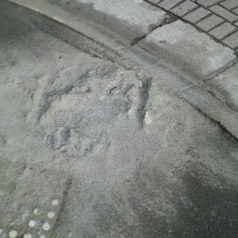 Roading/Streets, a report photo