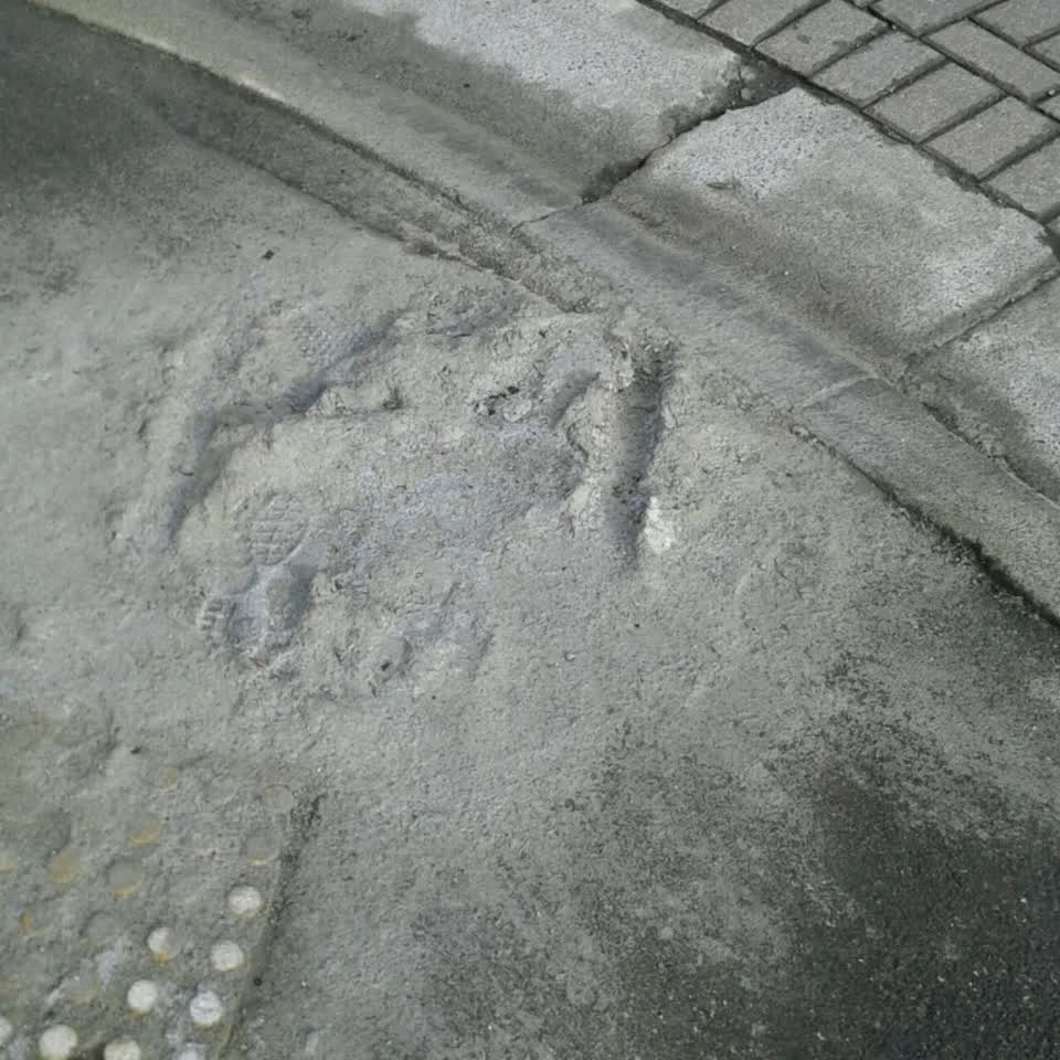 The photograph attached to this roading/streets report