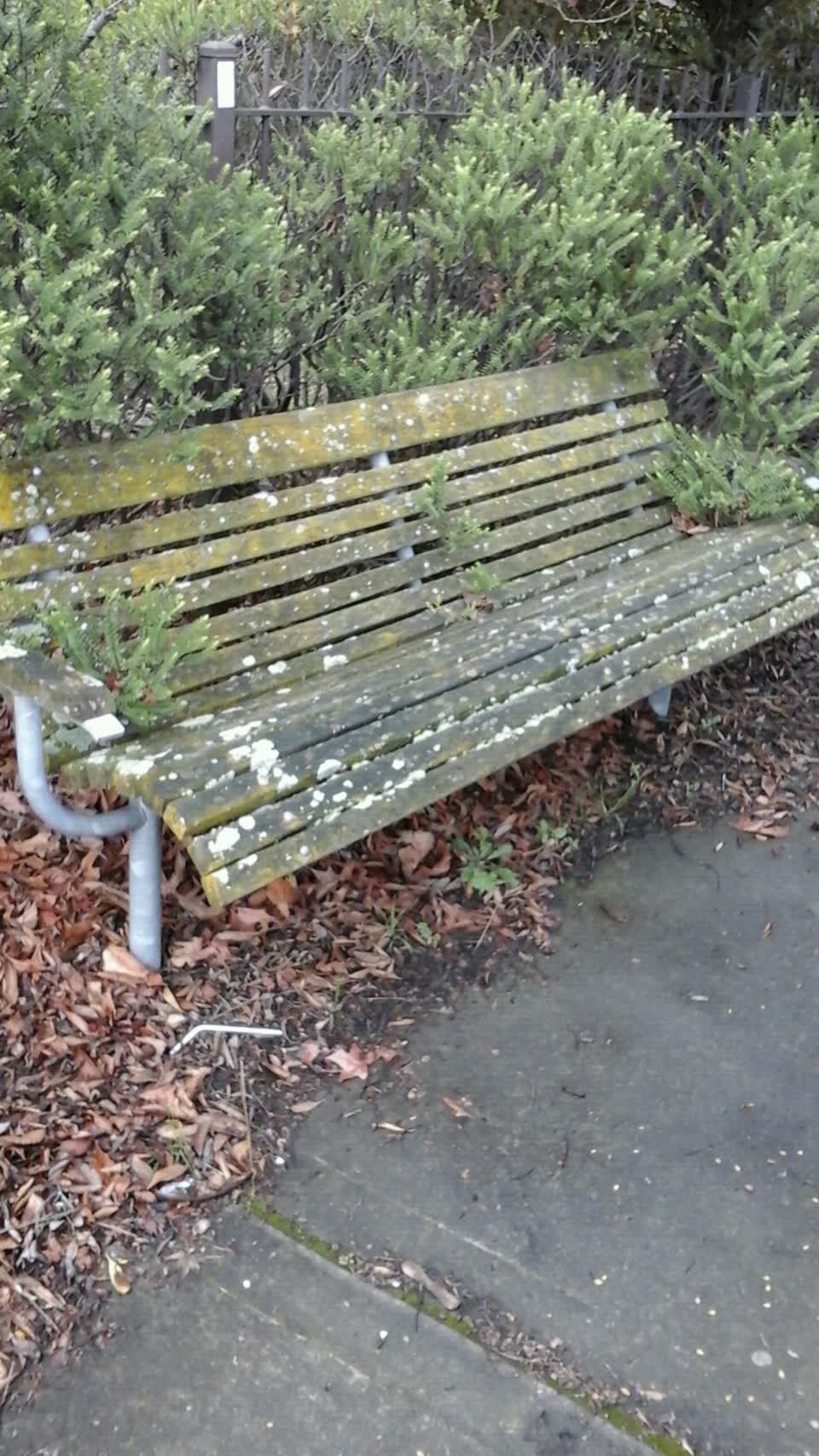 The photograph attached to this parks report