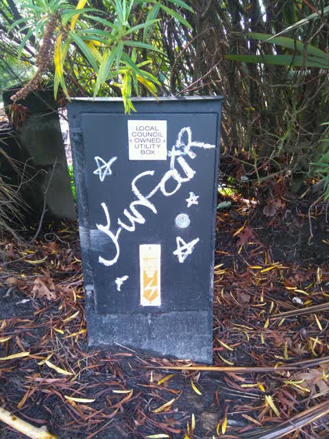 Graffiti, a report photo