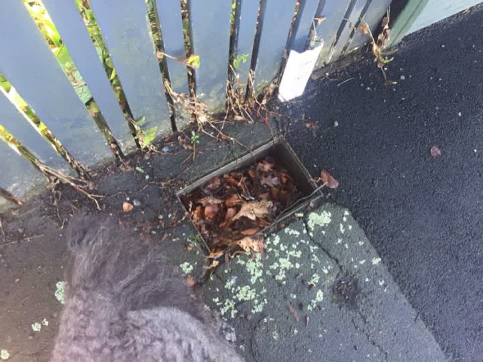 The photograph attached to this water supply report