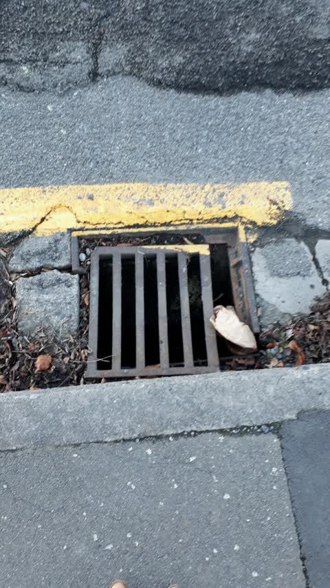 Roading/Streets, a report photo