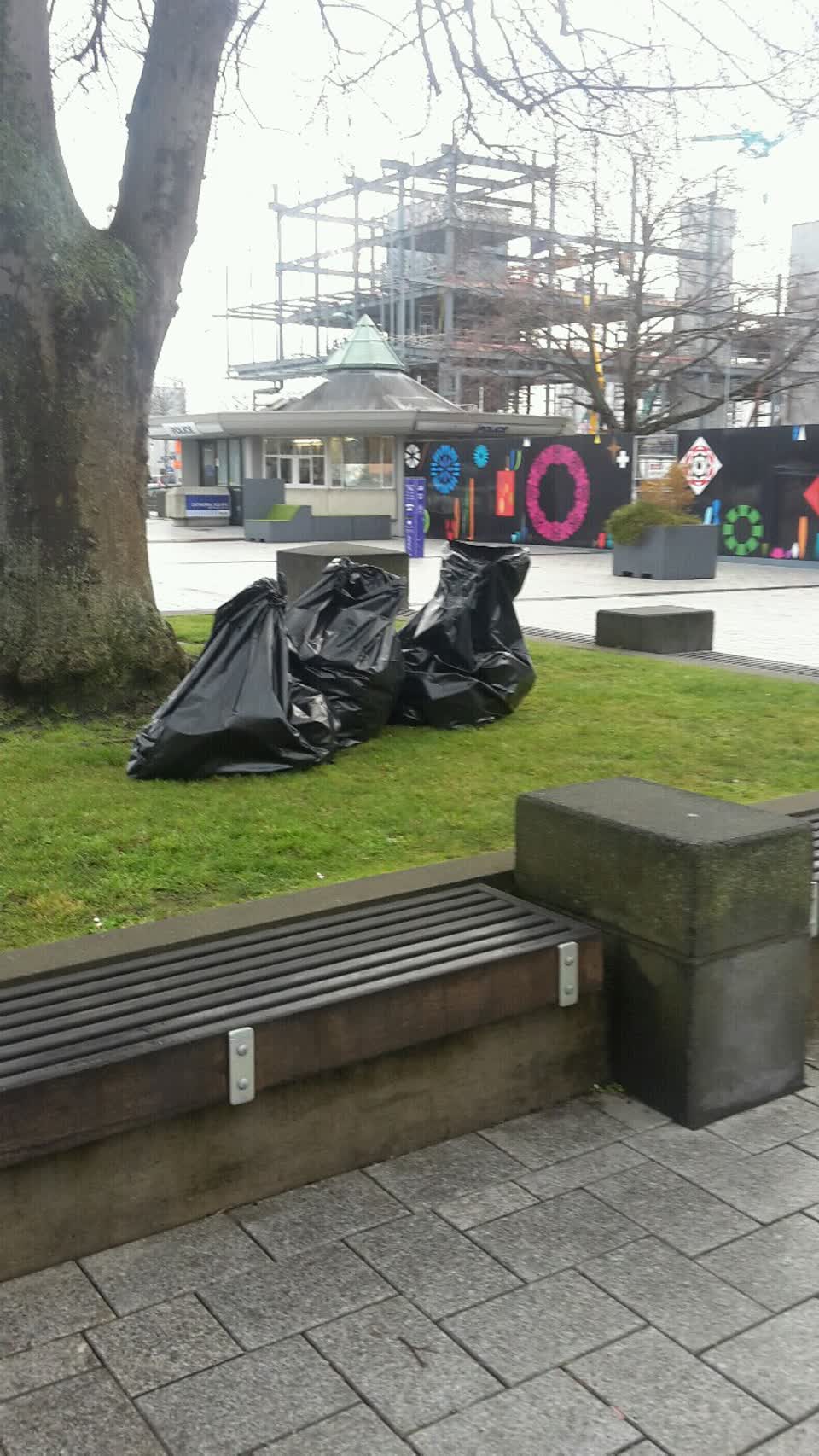 The photograph attached to this rubbish/recycling report