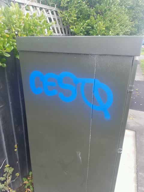 Graffiti, a report photo