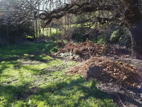 Parks, a report photo