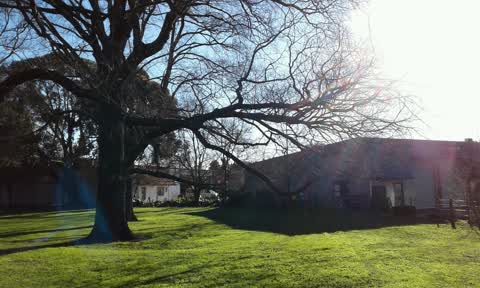 Parks, a report photo