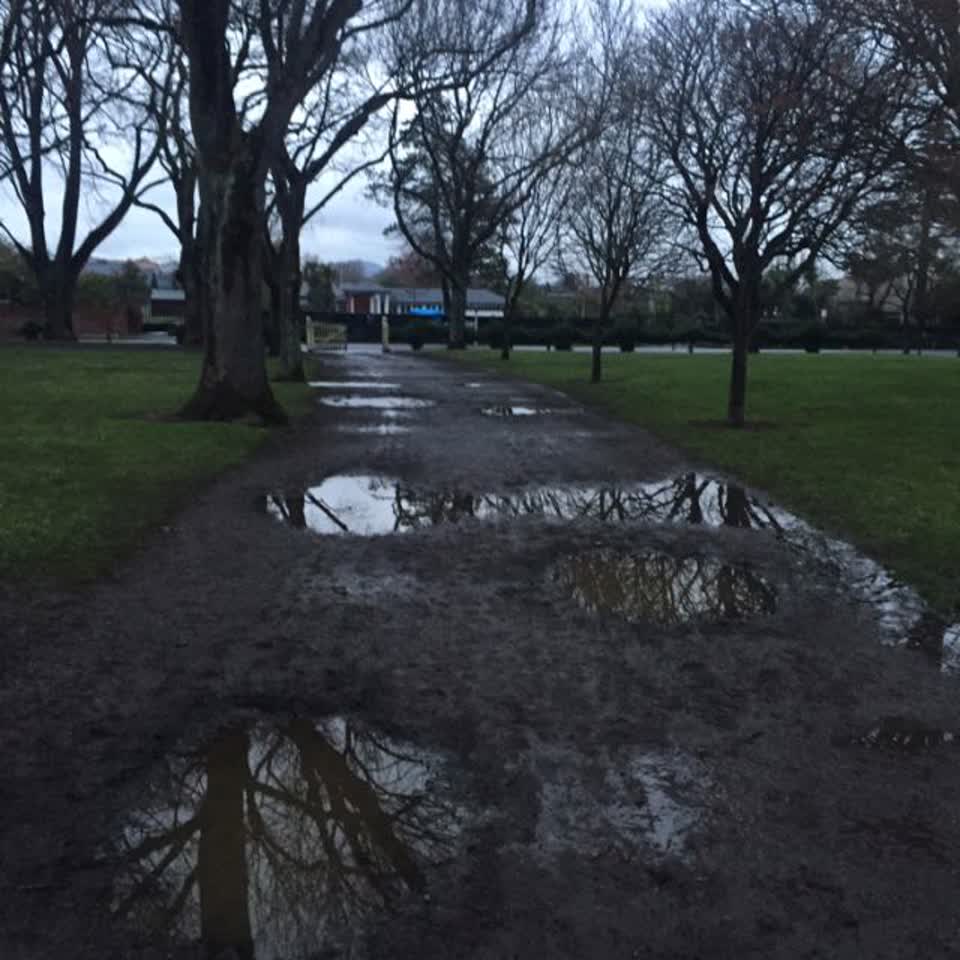 The photograph attached to this parks report